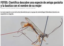 Enlace a Homenaje a su amada