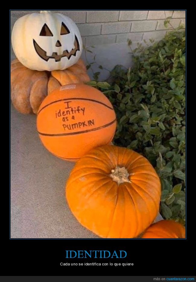 calabazas,balón,baloncesto,identidad