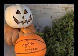 Enlace a Una calabaza diferente