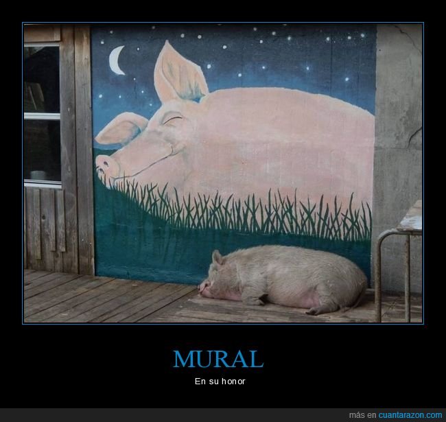 mural,cerdo,durmiendo