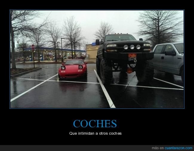 coches,tamaño,wtf