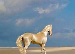 Enlace a Parece una criatura mitológica