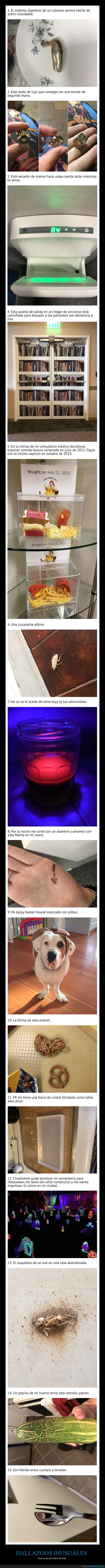 hallazgos,inusuales,curiosidades