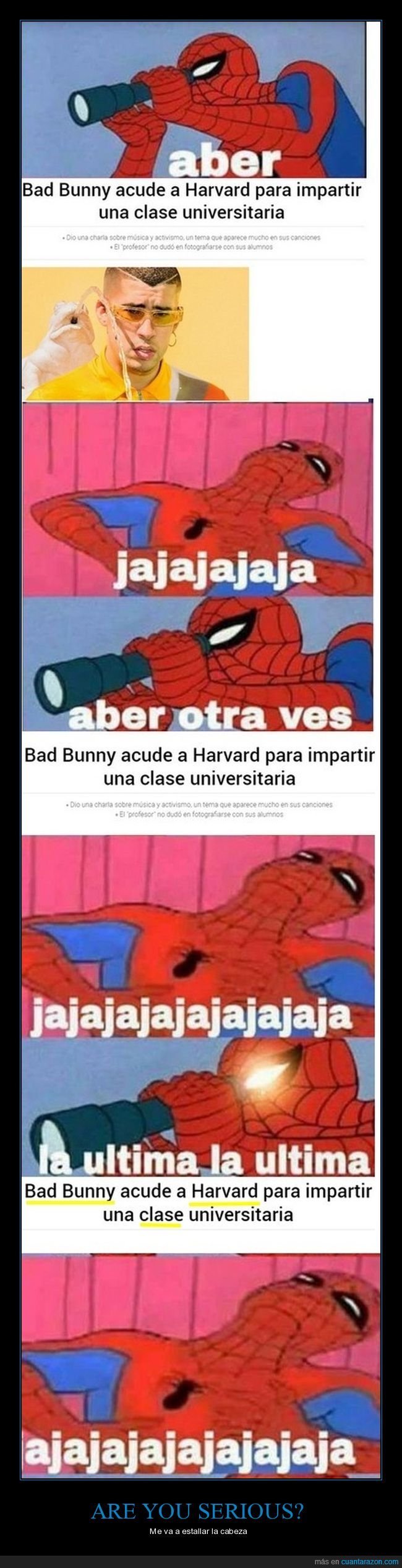 bad bunny,clase,harvard,universidad
