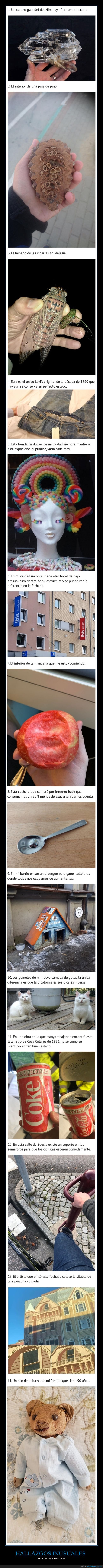 hallazgos,inusuales,wtf