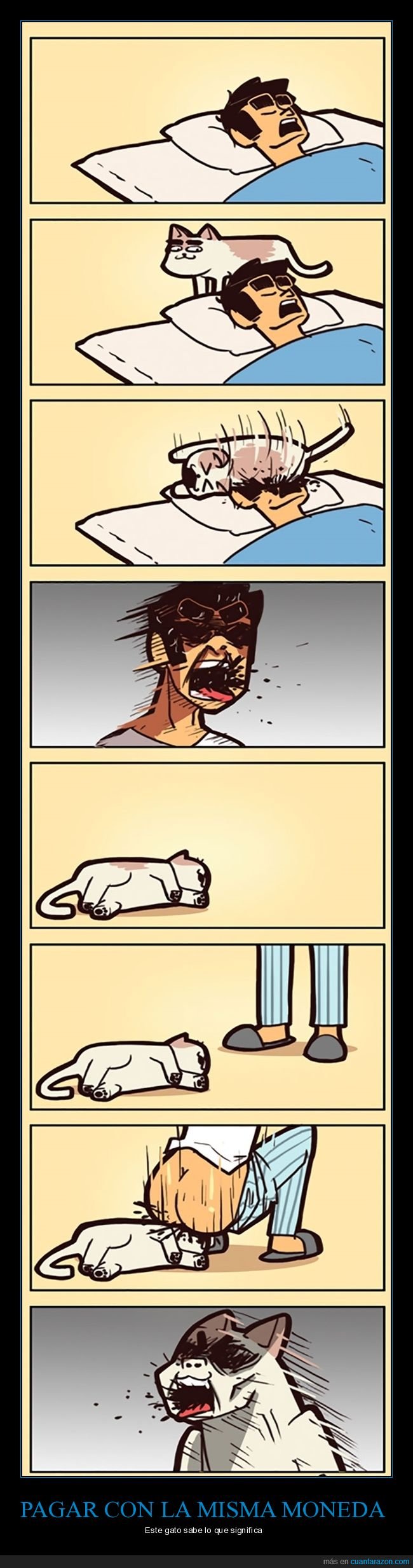 durmiendo,gatos,venganza