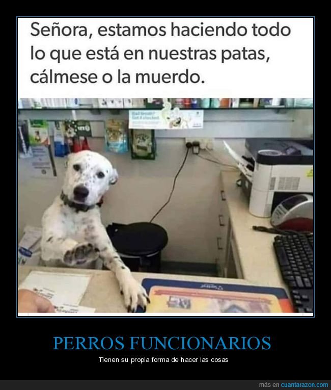 perros,calmarse,morder,funcionario