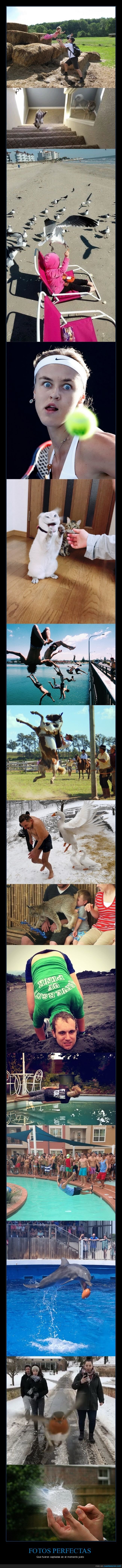 momento exacto,fotograf&iacute;as,wtf