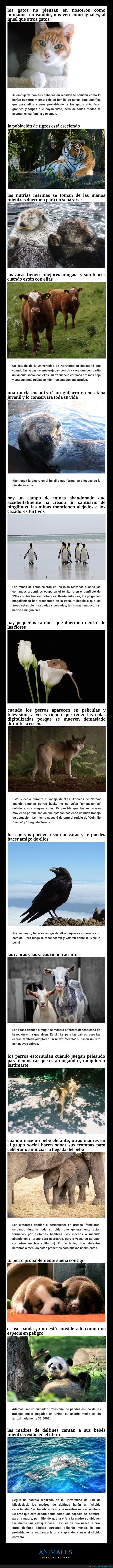 animales,datos,curiosidades