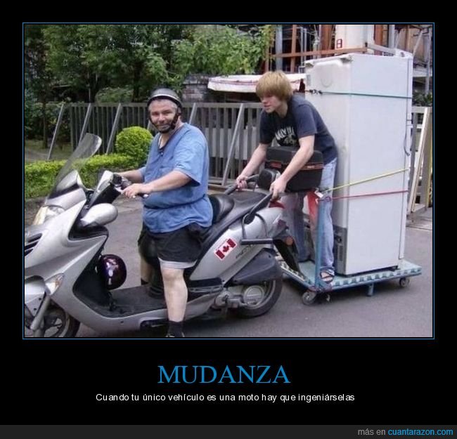 transportando,nevera,moto