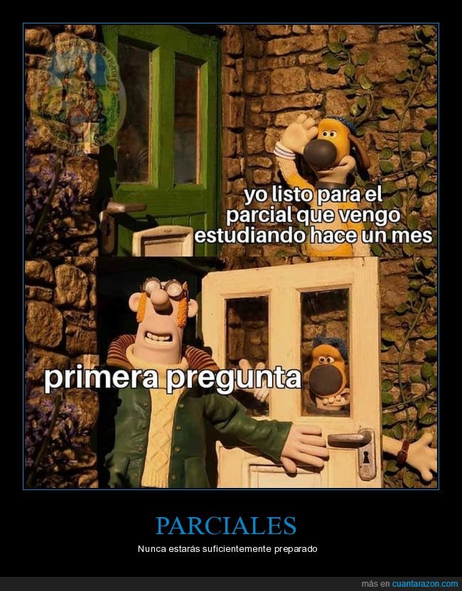 examen,estudiar,pregunta