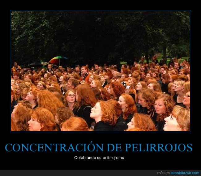 pelirrojos,concentración,wtf