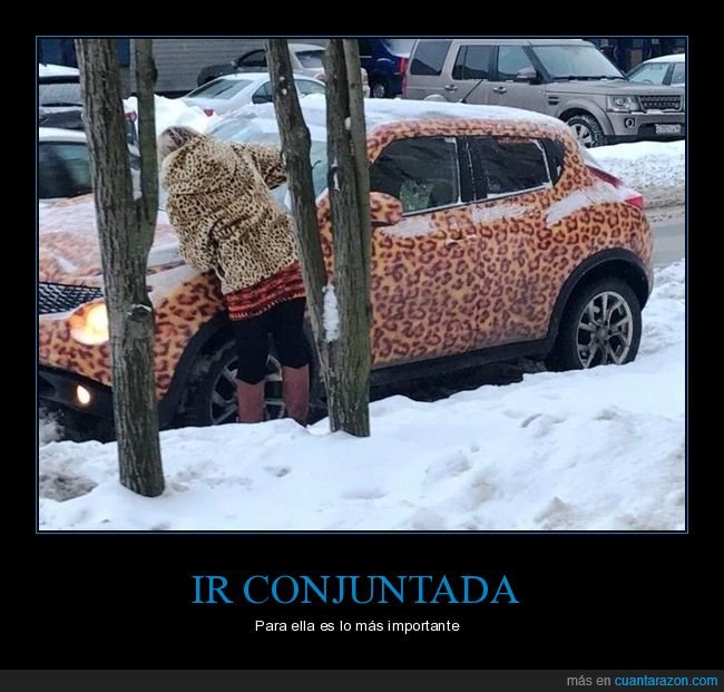 coche,leopardo,conjuntada