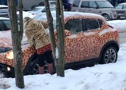 Enlace a Perfectamente conjuntados