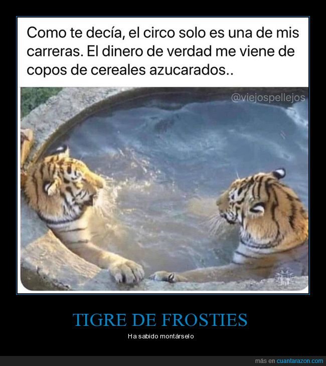 tigre,tigres,circo,dinero,cereales