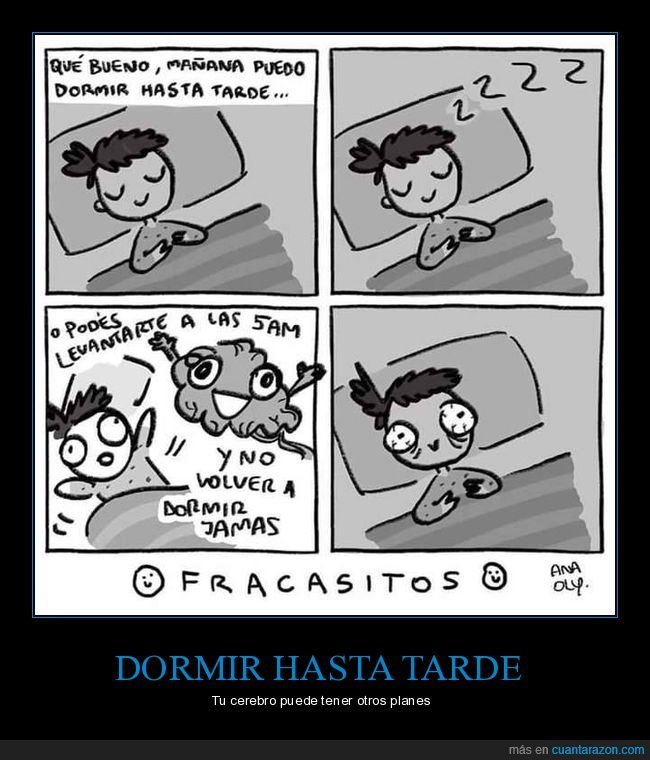 dormir,tarde,despertarse,5am,cerebro