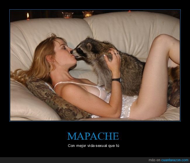 chica,mapache,wtf