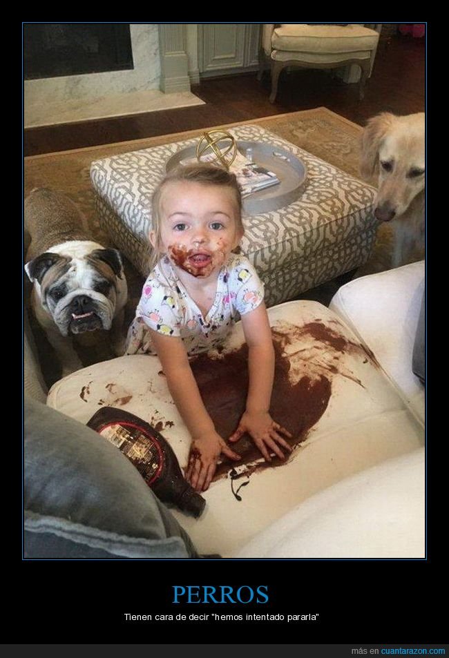 niña,chocolate,sofá,fails,perros
