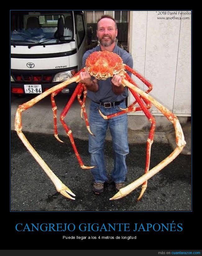 cangrejo,agua fr&iacute;a,alaska