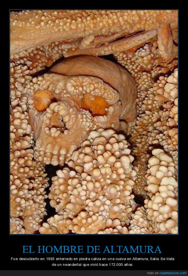 hombre de altamura,neandertal,esqueleto