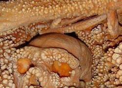 Enlace a Uno de los restos neandertales más espectaculares del mundo