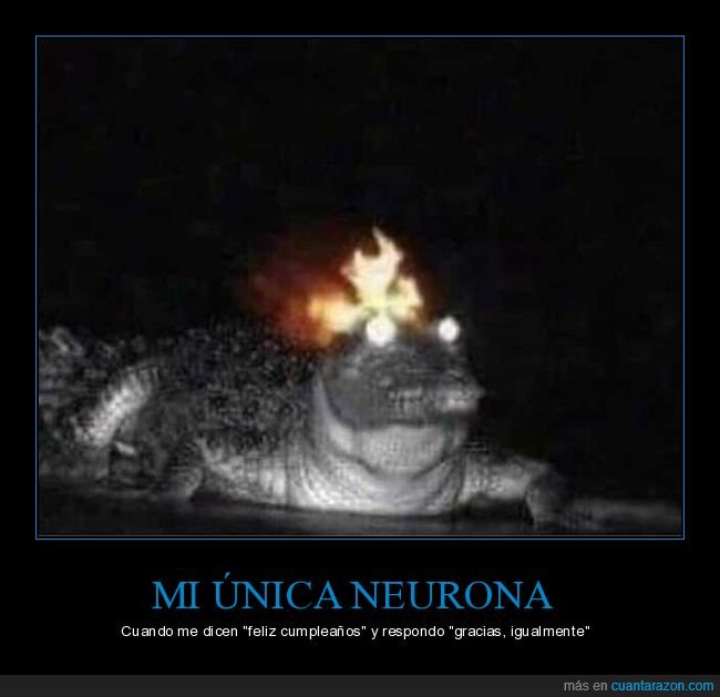 neurona,cumpleaños,igualmente