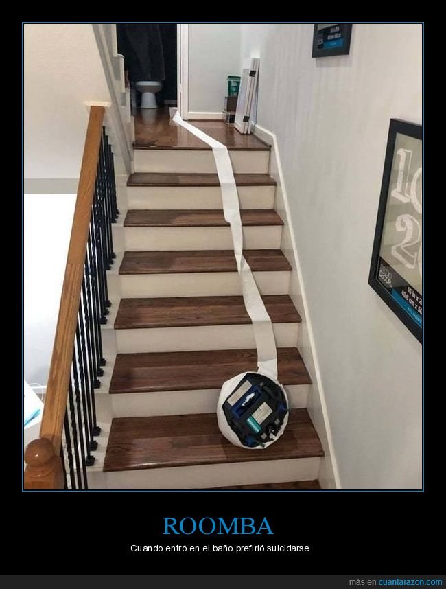 roomba,papel higiénico,escaleras