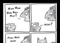 Enlace a Charla de peces