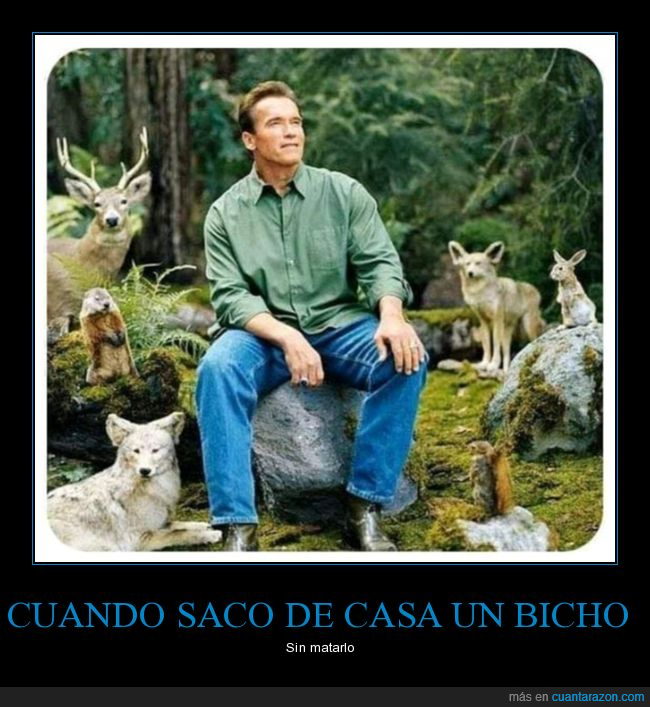 sacar,bicho,casa,schwarzenegger