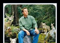 Enlace a En comunión con la naturaleza