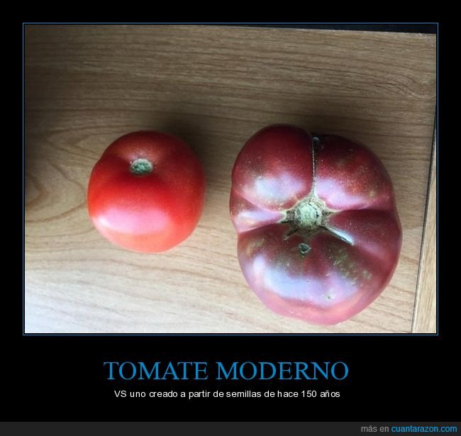 tomates,antes,ahora