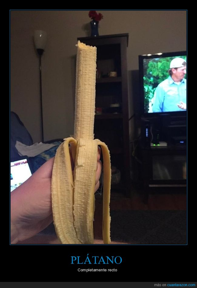 plátano,recto