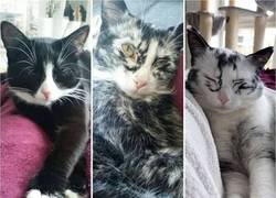 Enlace a De negro a blanco