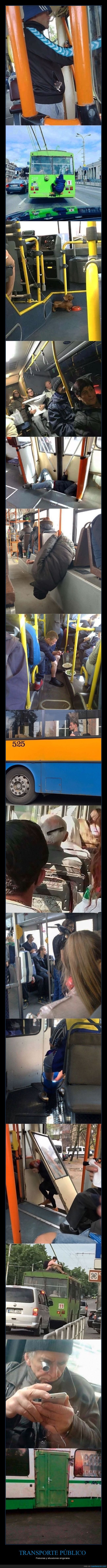 transporte público,autobuses,wtf