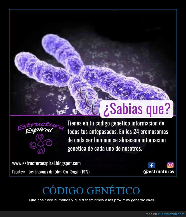 cromosomas,genética,código genético,curiosidades