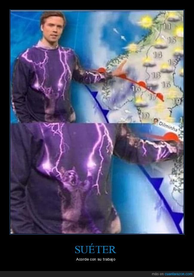 suéter,gato,rayos,hombre del tiempo