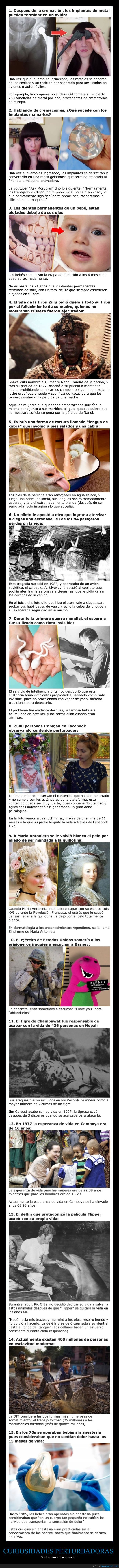 curiosidades,perturbadoras
