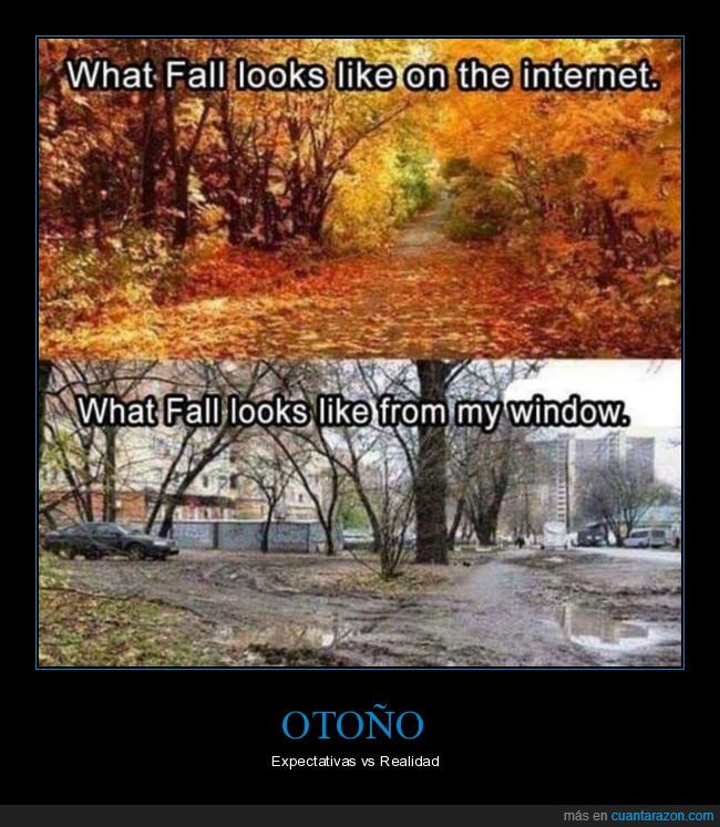 otoño,expectativas,realidad