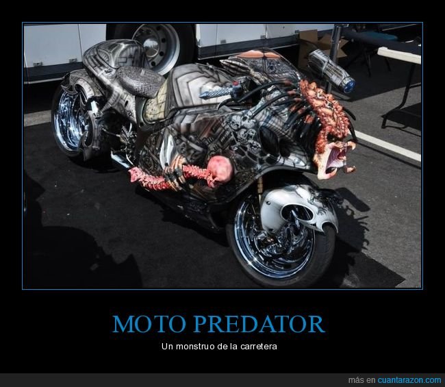 moto,depredador