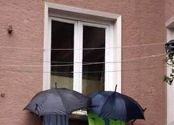 Enlace a Una idea fruto de una mente superior