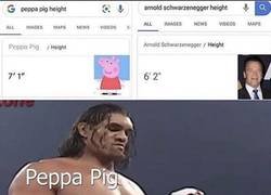 Enlace a Arnold no tiene nada que hacer