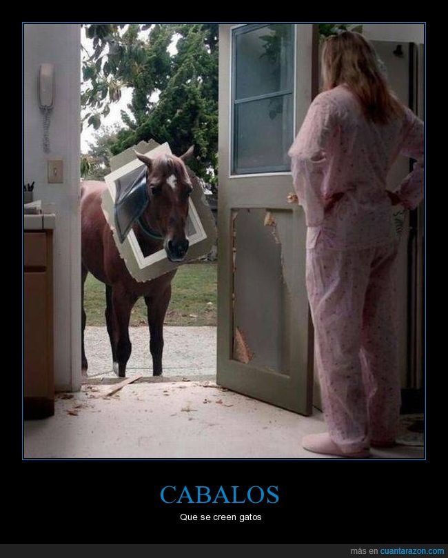 caballo,puerta,gatera,fails