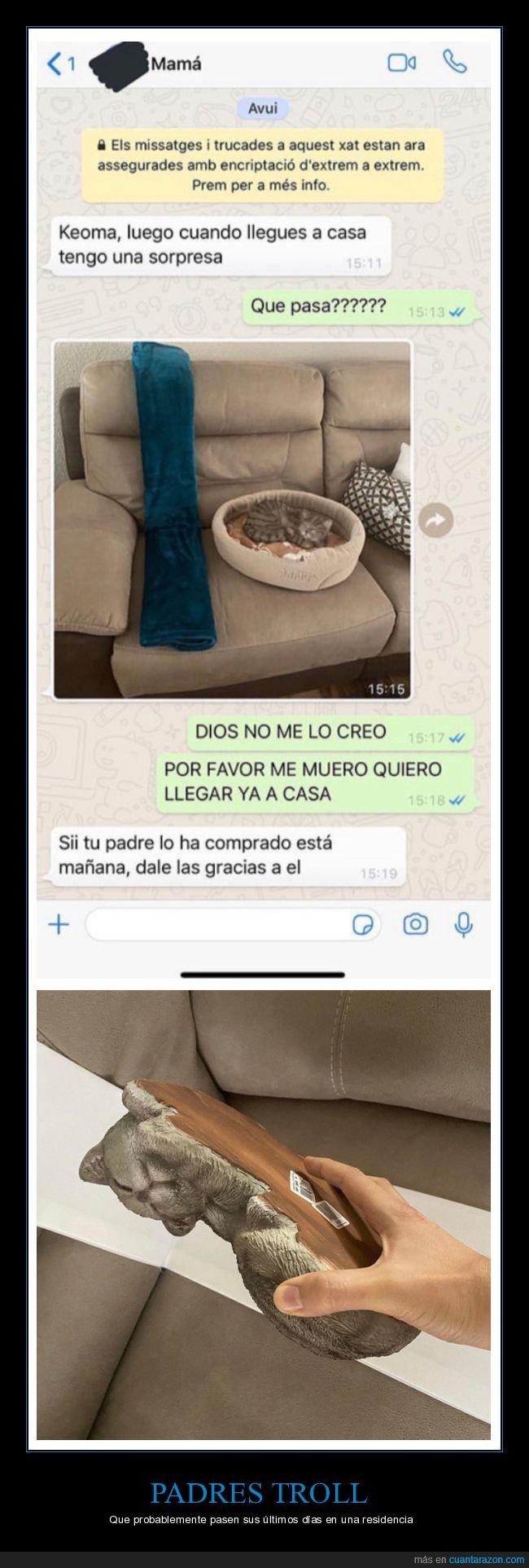 padres,hijo,trolling,gato,padres del año