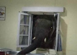 Enlace a Probando un poco