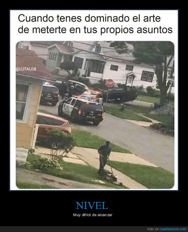 policía,cortando el césped,meterse,asuntos