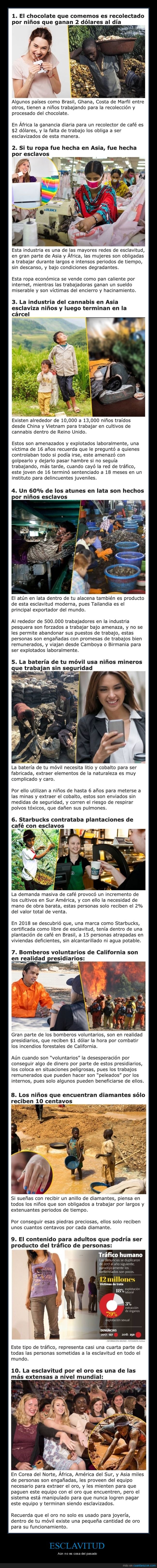 esclavitud,empresas,esclavos