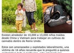 Enlace a Negocios que contratan esclavos en pleno 2019