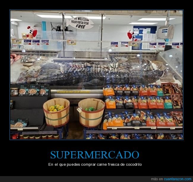 supermercado,comprar,carne,cocodrilo