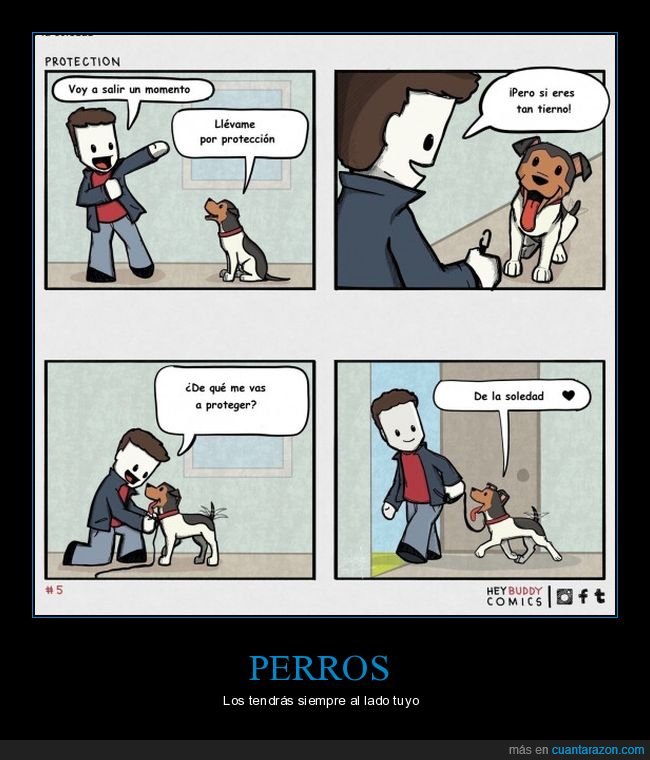 perros,protección,soledad