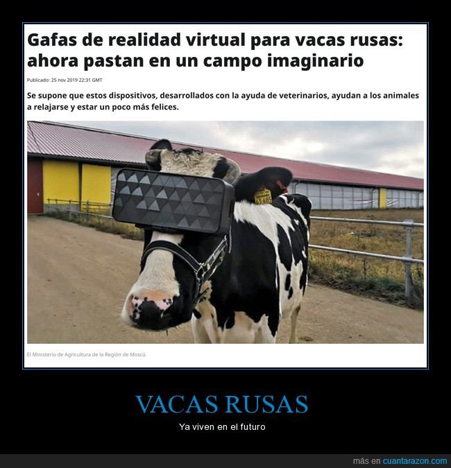 realidad virtual,vacas,rusas,rusos,wtf